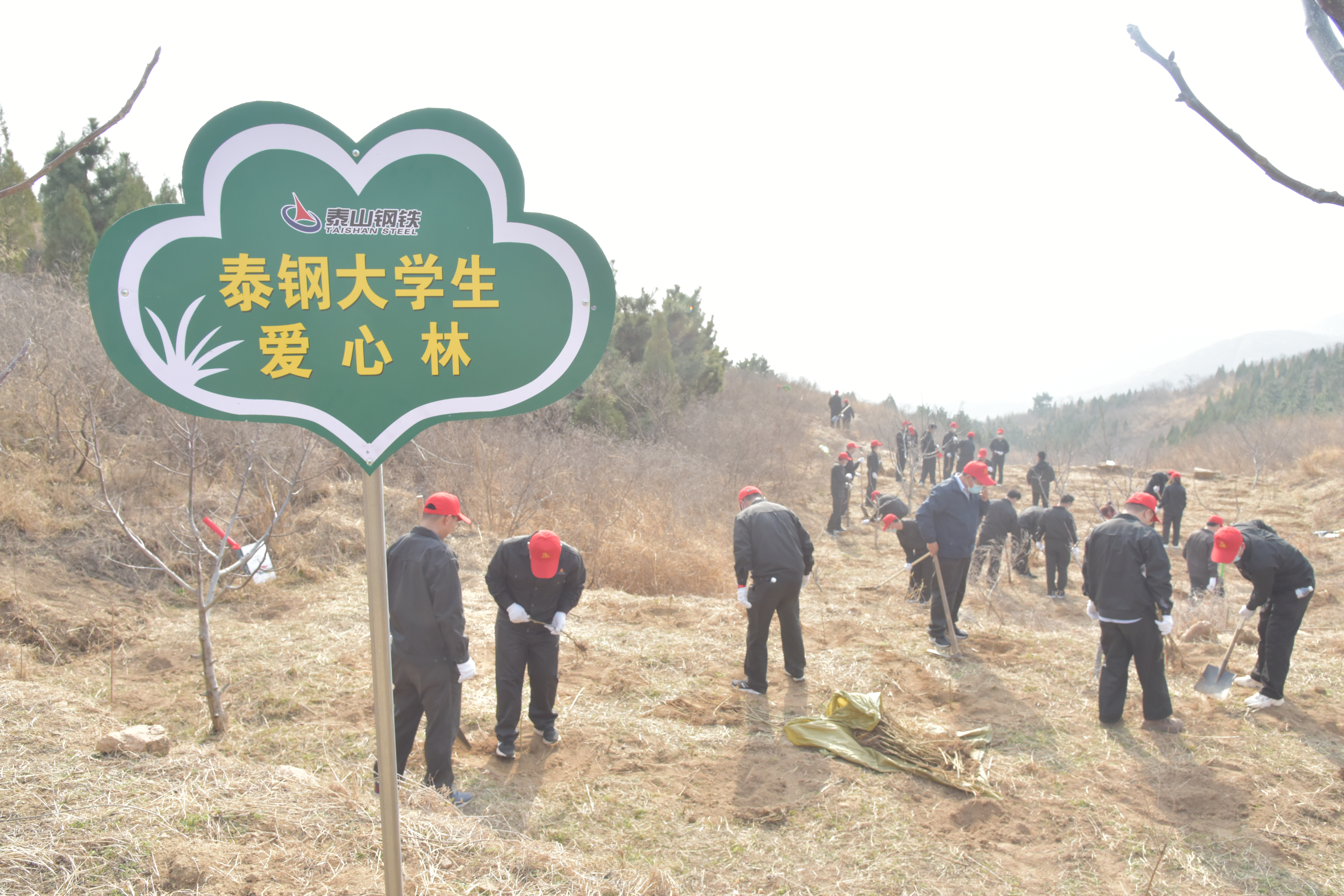 时博（中国）大学生植爱心林